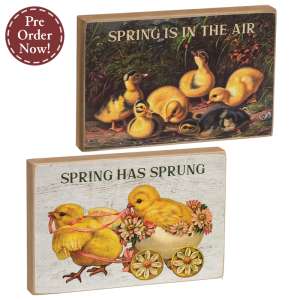 Spring Has Sprung Vintage Chick Block - 2 Asstd. #38260