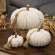 Cream Ribbed Pumpkin w/Beaded Tassel, Large ADCF3009