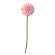 Pompom Stem, Blush - # 15001