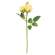 Blooming Soft Yellow Roses Pick, 17" HJ092507