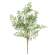 Maidenhair Fern Bush, 21.5" JH102503