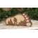 Bigfoot In the Forest Layered Wooden Foot Sitter #38692