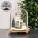 Holiday House Cloche 65396